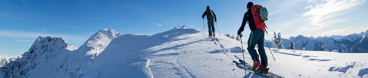 Freeride and Touring Ski Boots