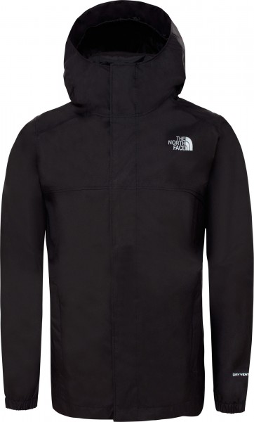 the north face b